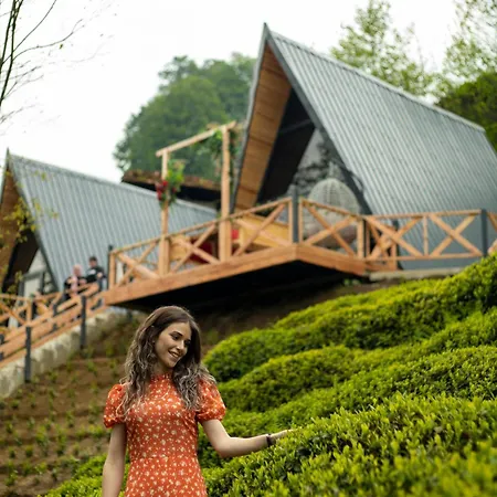 Aliki Chalet Cayeli